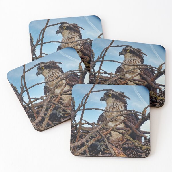 Item preview, Osprey in nest designed and sold by KDartisticeye.