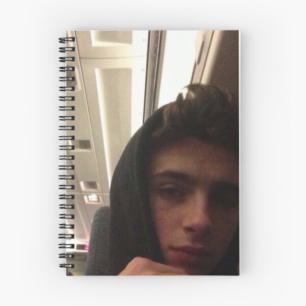 Item preview, timothee chalamet emo  designed and sold by Jaclyn's Stickers & Designs.