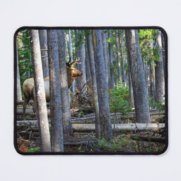 Item preview, Bull Elk in forest designed and sold by Saltypro.