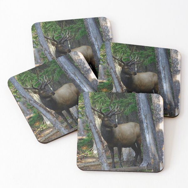 Item preview, Bull elk in the pines designed and sold by Saltypro.