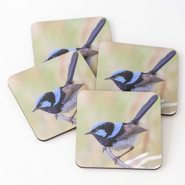 Item preview, Resting Superb Fairy-wren.  designed and sold by DaveBassett.