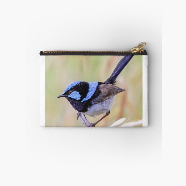 Item preview, Resting Superb Fairy-wren.  designed and sold by DaveBassett.