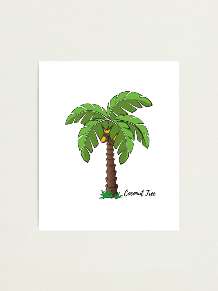 Coconut Tree Design Colorful Art (Cartoon Cute Art) Coconut Tree Design Colorful Art (Cartoon Cute Art)