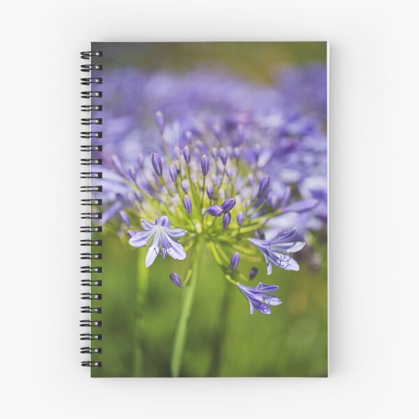 Item preview, Agapanthus With Natural Paint designed and sold by Joy Watson - Natural Light Photography .