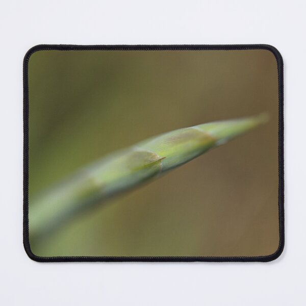 Item preview, Gladioli Flower Spike Bud designed and sold by Joy Watson - Natural Light Photography .