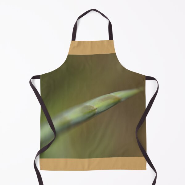 Item preview, Gladioli Flower Spike Bud designed and sold by Joy Watson - Natural Light Photography .