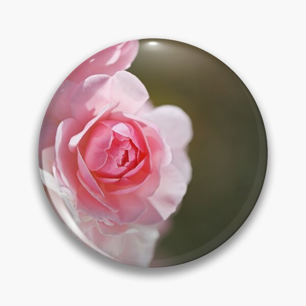 Item preview, Pink Roses Curved Collection  designed and sold by Joy Watson - Natural Light Photography .