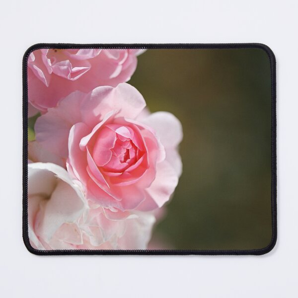 Item preview, Pink Roses Curved Collection  designed and sold by Joy Watson - Natural Light Photography .