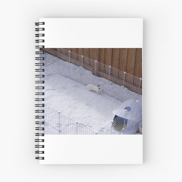 Item preview, bunny enjoying herself in winter designed and sold by DreamingLizard.