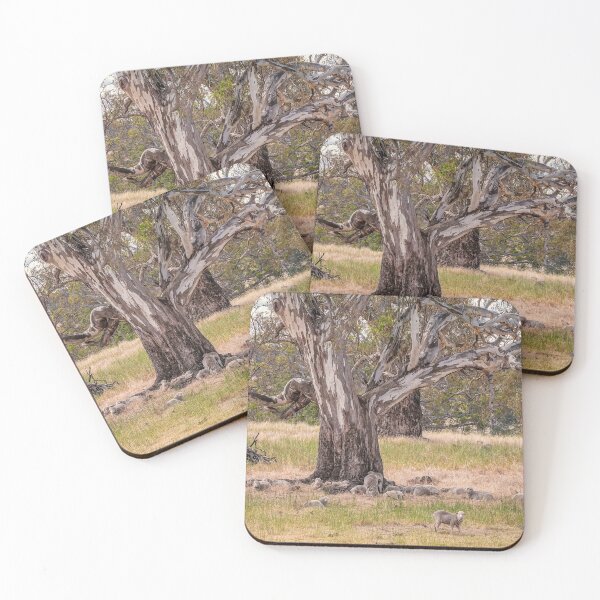 Item preview, Dozing sheep and River Red Gum, Myrtle Creek, Victoria designed and sold by iansmissenphoto.