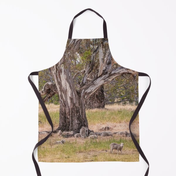 Item preview, Dozing sheep and River Red Gum, Myrtle Creek, Victoria designed and sold by iansmissenphoto.