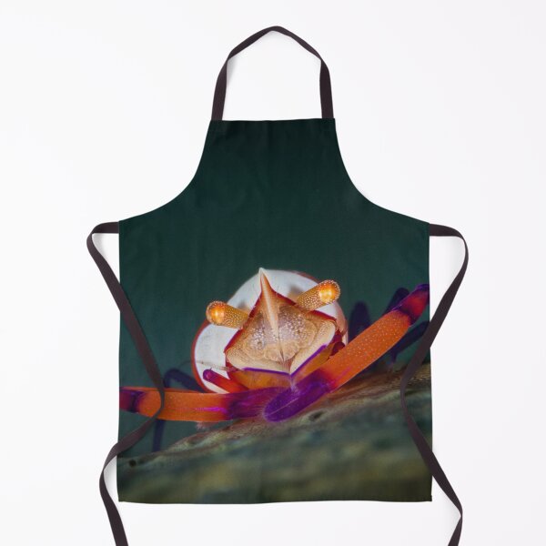 Item preview, Emperor shrimp designed and sold by colourfulslug.