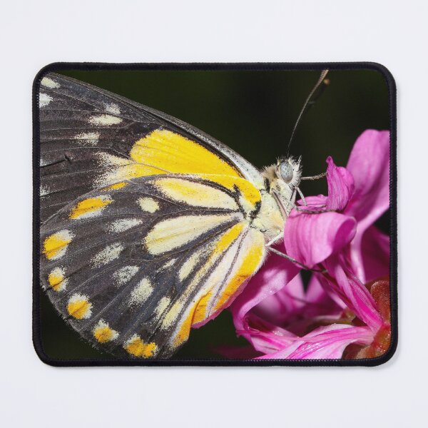 Item preview, Butterfly and a pink flower designed and sold by scar.
