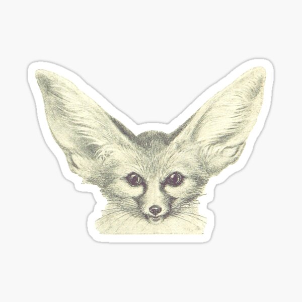 Stickers Sur Le Theme Fennec Fox Redbubble