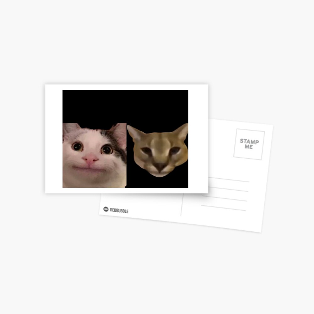 Beluga Cat Photographic Print for Sale by LuckyShop100 Redbubble #32 Beluga Cat Photographic Print for Sale by LuckyShop100 Redbubble