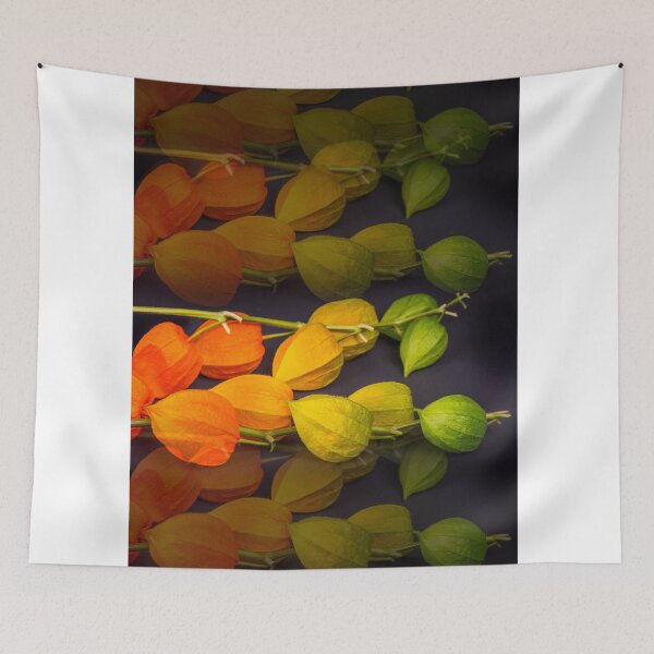 Item preview, Balloon flowers designed and sold by Ingo Gerlach.