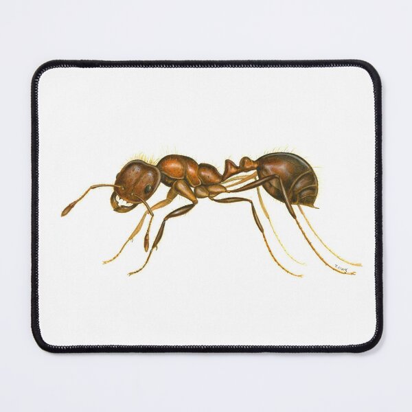 Item preview, Red Imported Fire Ant (Solenopsis invicta) designed and sold by Tamara Clark.