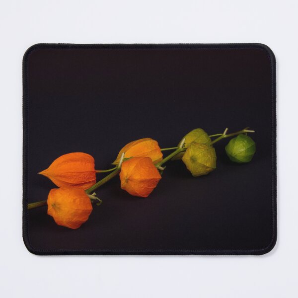 Item preview, Balloon flowers designed and sold by Ingo Gerlach.