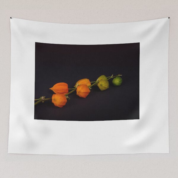 Item preview, Balloon flowers designed and sold by Ingo Gerlach.