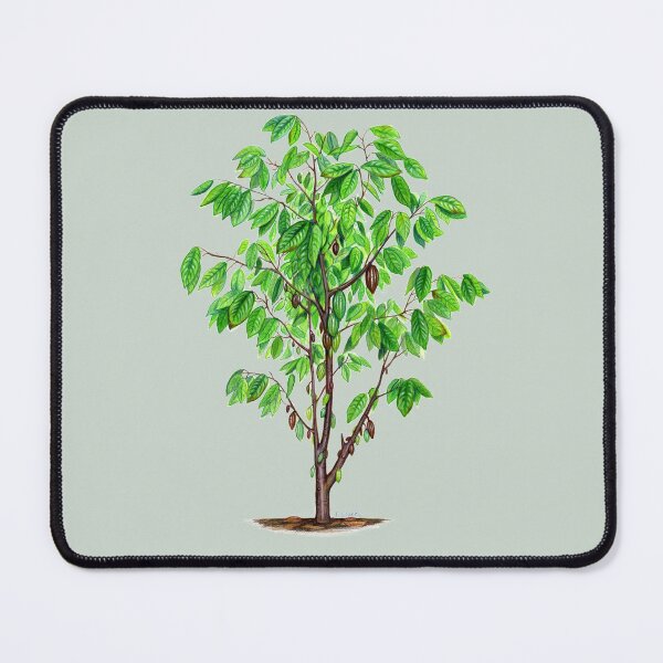 Item preview, Cacao Tree (Theobroma cacao) designed and sold by Tamara Clark.