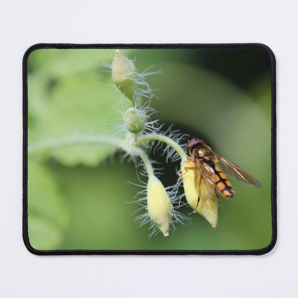 Item preview, Hoverfly on Greater celandine designed and sold by cuprum.
