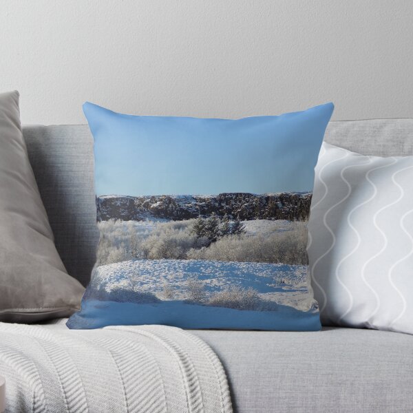 Frozen Iceland Throw Pillow