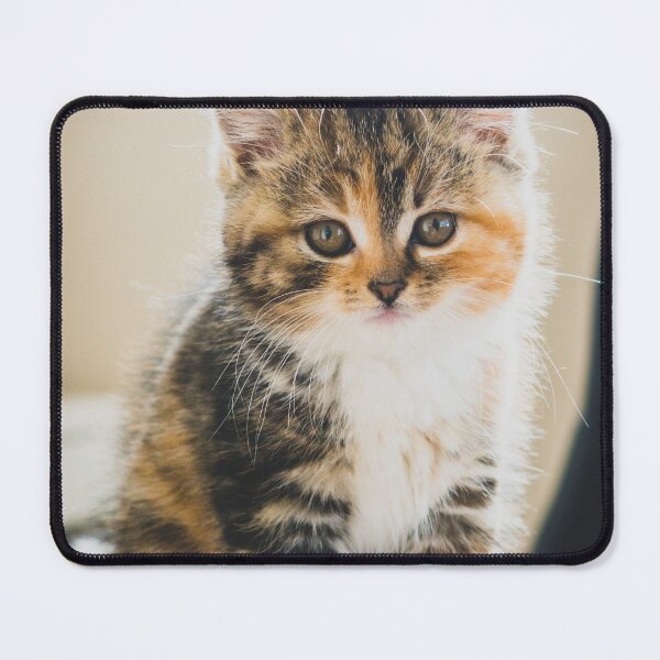 Item preview, cat wallpaper and artwork designed and sold by Hentoy Arts.