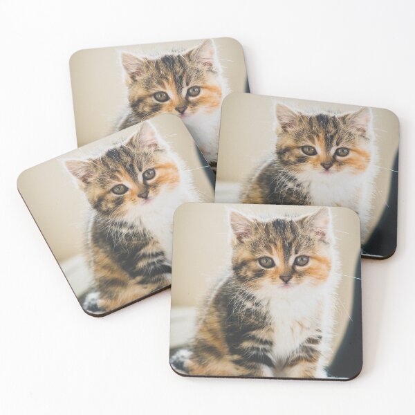 Item preview, cat wallpaper and artwork designed and sold by Hentoy Arts.