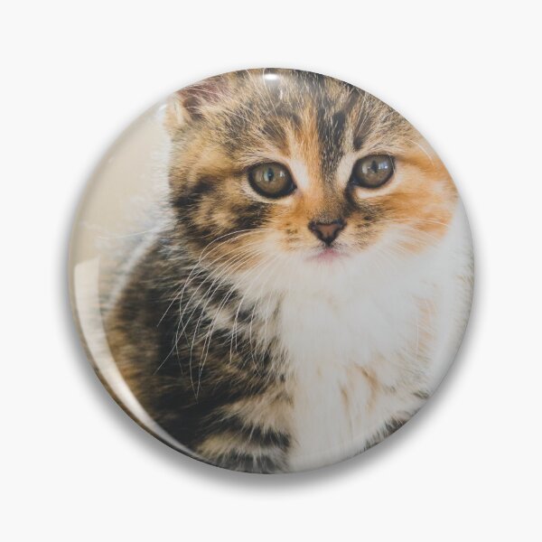 Item preview, cat wallpaper and artwork designed and sold by Hentoy Arts.