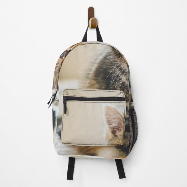 Item preview, cat wallpaper and artwork designed and sold by Hentoy Arts.