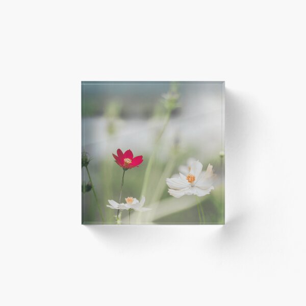 Item preview,  flowers and dreams designed and sold by HUNSA.