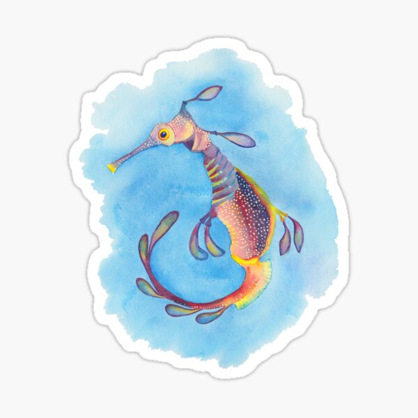 "Weedy seadragon against blue background watercolour" Sticker for