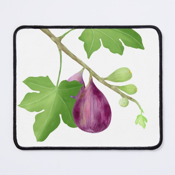 Item preview, Figs on Branch designed and sold by Amalus-files.