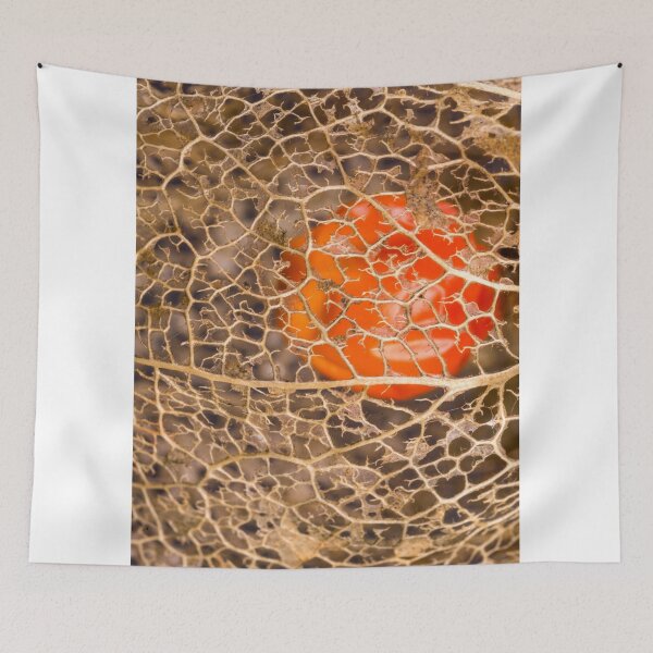 Item preview, The balloon flower, golden and filigree - a work of art by nature. designed and sold by Ingo Gerlach.