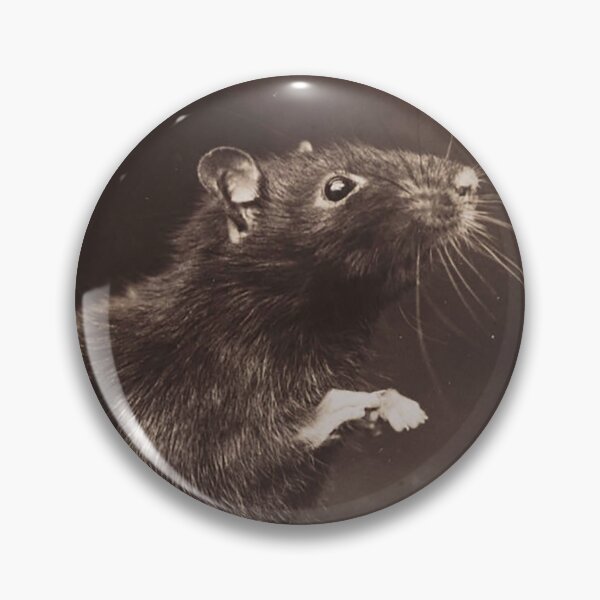 Item preview, Black rat designed and sold by Night-parade.