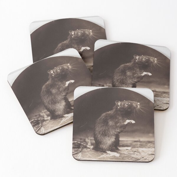 Item preview, Black rat designed and sold by Night-parade.