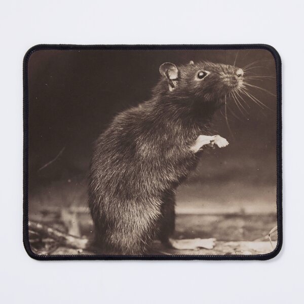 Item preview, Black rat designed and sold by Night-parade.