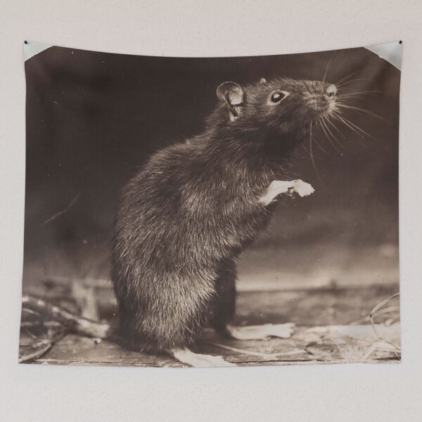 Item preview, Black rat designed and sold by Night-parade.