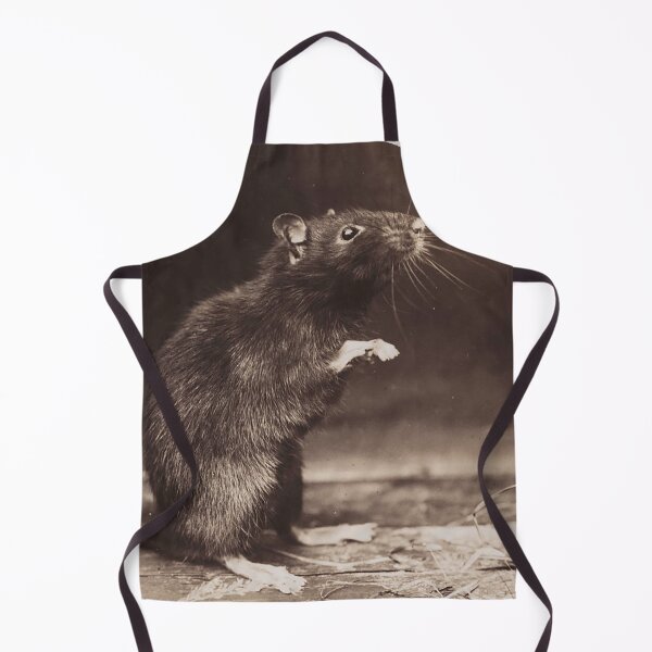 Item preview, Black rat designed and sold by Night-parade.