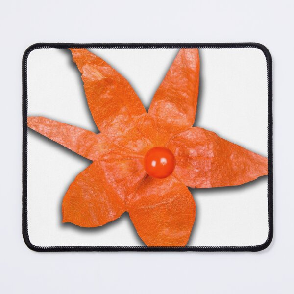 Item preview, The flower and fruit of the physalis. designed and sold by Ingo Gerlach.