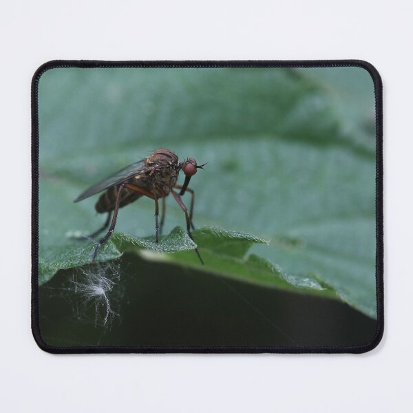 Item preview, Bug hunt 7 designed and sold by cuprum.