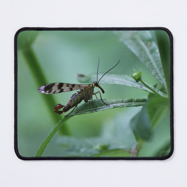 Item preview, Bug hunt 3 designed and sold by cuprum.