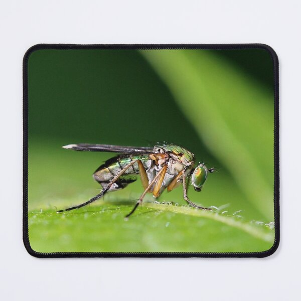 Item preview, Bug hunt 4 designed and sold by cuprum.