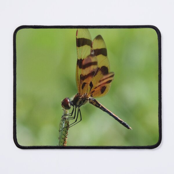 Item preview, Halloween pennant designed and sold by cuprum.