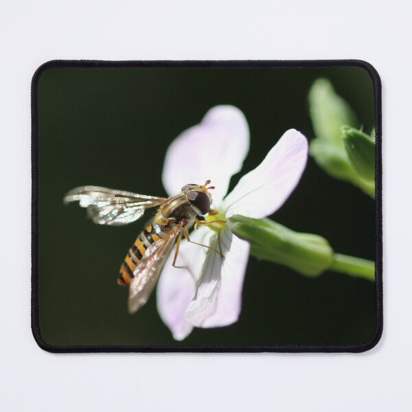 Item preview, Hoverfly 2 designed and sold by cuprum.
