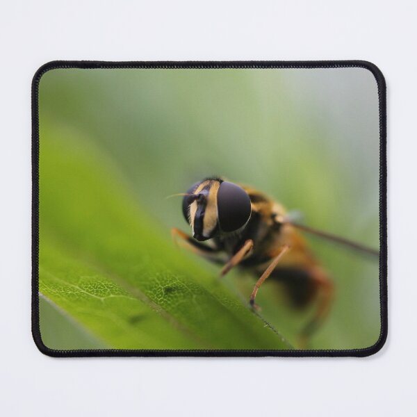 Item preview, Hoverfly designed and sold by cuprum.