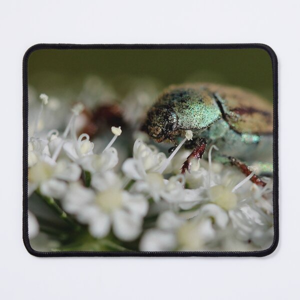 Item preview, Close encounter designed and sold by cuprum.