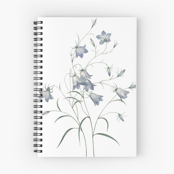 Item preview, Campanula Bellflower - Flower Art designed and sold by AlexSin.