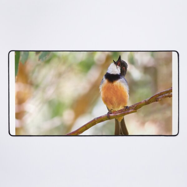 Item preview, Hitting The High Note designed and sold by Stephen Ruane.