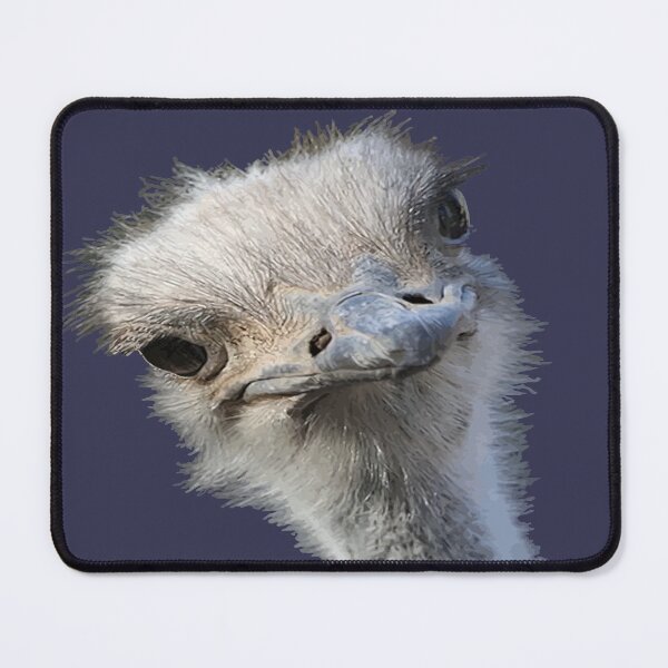 Item preview, Ostrich Face With Gormless Expression designed and sold by taiche.